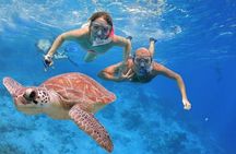 Abu Dabab Swim with Turtles Private tour