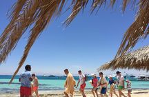 Abu Dabab Swim with Turtles Private tour