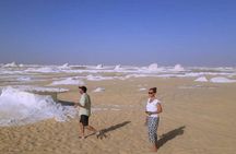 Desert Safari - Baharia Oasis, White desert, and Black desert Tour