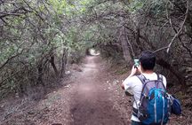 Hike to Gorropu Canyon