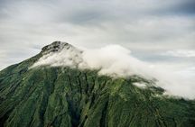 1 Day trip to Mountain BISOKE Hiking 