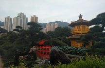 Taking you to every corner of Hong Kong!