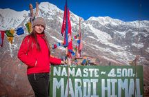 4 Days Glorious Mardi Himal Base Camp Trek