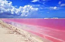 Adventour Day: Coloradas and Rio Lagartos Excursion from Cancun!
