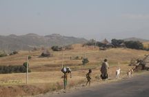 4-Day Abune Yosef Conservation Area Trekking Tour from Lalibela