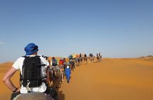 Marrakech Desert Tour 5 days Trip in Sahara