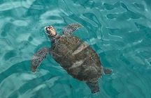 The Curacao Private Beach Hopping / Snorkeling Tour