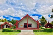Rotorua Full Day Private Tour from Auckland