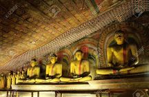 Highlights Of Sri Lanka- 7 Days Tour
