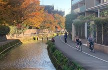 Secret Eastern Kyoto Biking Adventure