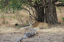 3 Days Tanzania Safari - Emnel Adventures