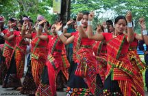 6-Day Tour of Exotic Northeast India: Mawsmai Caves, Double Decker Living Root Bridge and Kaziranga National Park