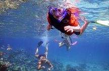 Camping & Snorkelling at Daymaniyat Islands