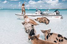 Exuma Elite Escape: Luxury Fly-In Pig Beach Adventure - 7 Stops