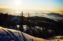 Skiing in winter wonderland