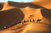Marrakech to Merzouga Desert 3-Day via the High Atlas Mountains