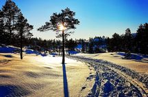 Skiing in winter wonderland