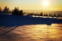 Skiing in winter wonderland
