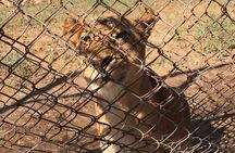 Private Africano Park Alexandria Safari from Cairo