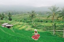 Bali Tour Package 9 Days 8 Nights