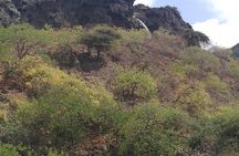 Enjoy a Full-Day Tour Uncovering East Salalah’s Hidden Gems