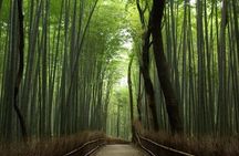 Discover your Kyoto -Private Kyoto Customized Walking Tour-
