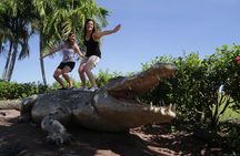 Jumping Crocs & Nature Adventure Cruise from Darwin