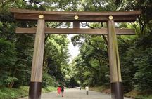 Discover your Tokyo -Private Tokyo Customized Walking Tour-