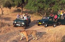 7-Days Golden Triangle with Ranthambore National park tour
