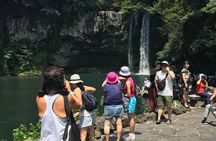 Jeju island: Van tour with a guide who the most loves JEJU