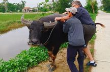 Hoi An Countryside & Cultural Gallery Ethnic Group - Private Tour