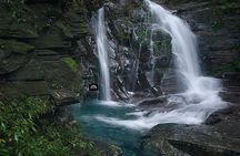 Small Group - Bach Ma National Park Trekking Tour From Hue