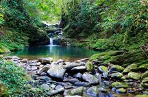 Small Group - Bach Ma National Park Trekking Tour From Hue