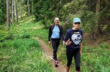 One-day Hiking tour in Aukštaitija National Park, Lithuania