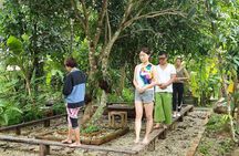 3 day Yoga and Meditation Retreat in Chiang Mai