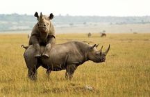 3 day Maasai Mara Adventure Group Safari