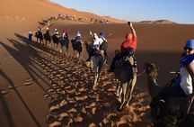 12 Days Tour to the Heart of Morocco