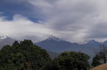 Pokhara: Day Hiking From Australian Base Camp to Dhampus.