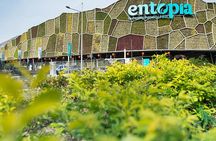 Private Tour: Full Day Tour Highlights of Penang Island