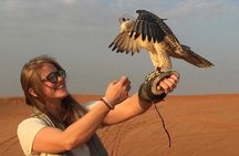 Dubai Desert Safari, Evening at Red-Dunes, 5* BBQ Dinner 