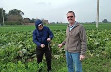 Egypt Day tour in countryside