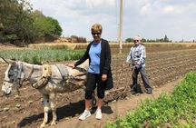 Egypt Day tour in countryside