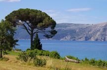 Coastal hiking tour with biologist guide 