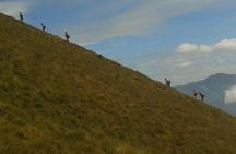 Meesapulimala Sunrise trek( By Munnar Info)