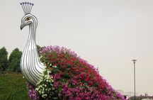 Dubai Miracle Garden Ticket with Transfer 