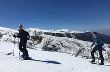 Snowshoeing day trip to Malyovitsa in Rila Mountains