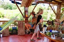 Howler Monkey Tour On The Barba Reserve - Bremen Of Philandia