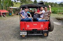 Howler Monkey Tour On The Barba Reserve - Bremen Of Philandia
