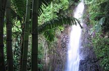 Dark View Falls Tour and Beach