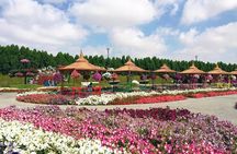 Dubai Miracle Garden Self-Guided Tour with Ticket with Transfer 